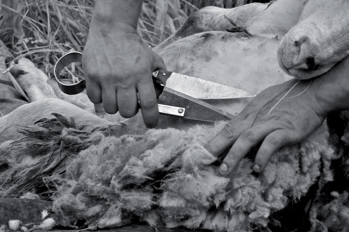 Le monde de l'artisanat - La Saint Ours Le monde de l'artisanat - La Saint Ours