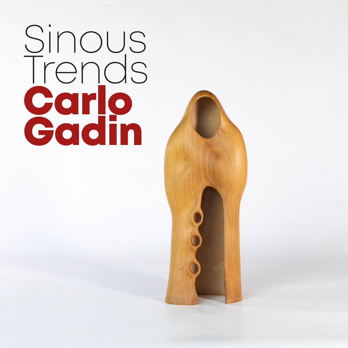 Exhibition of Carlo Gadin’s work  - Sinuous Trends