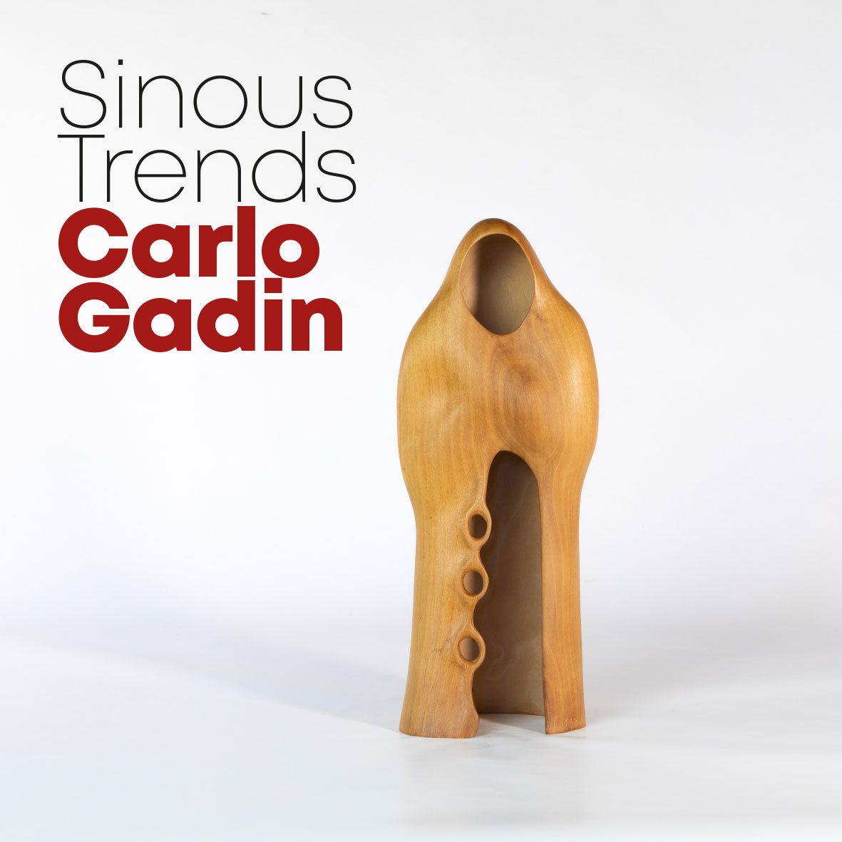 7 Mostra Carlo Gadin Exhibition of Carlo Gadin’s work - Sinuous Trends