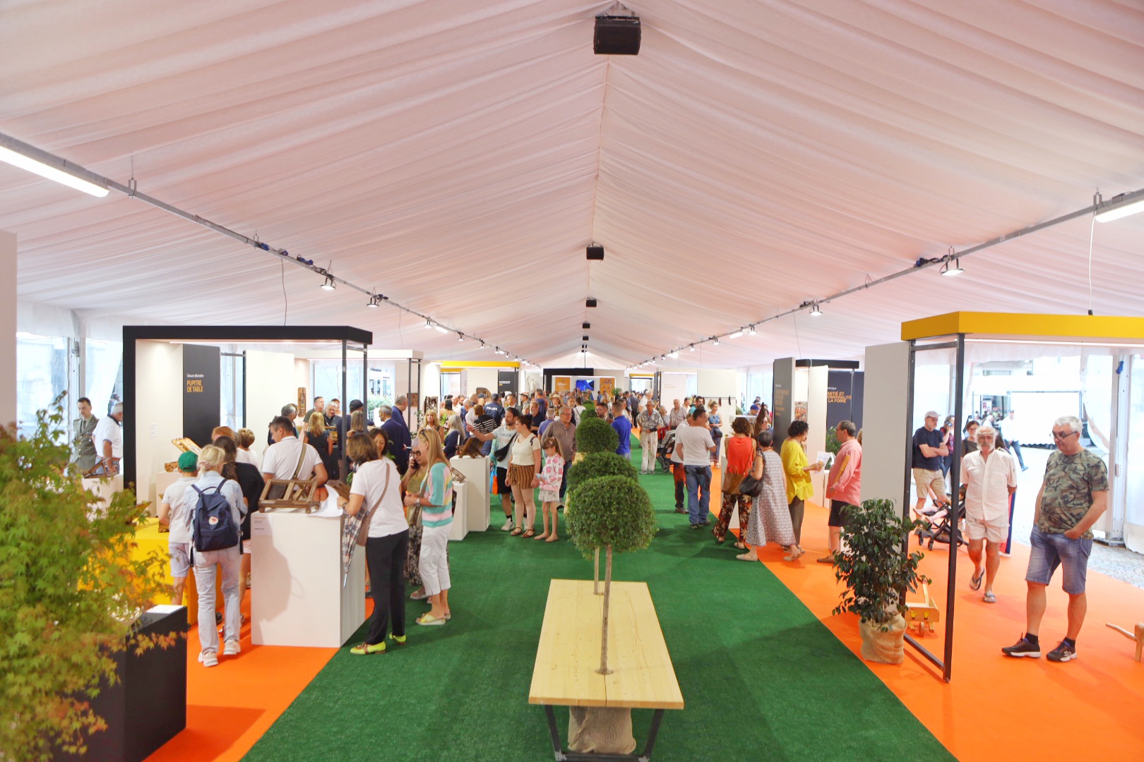 Mostra Concorso 2025